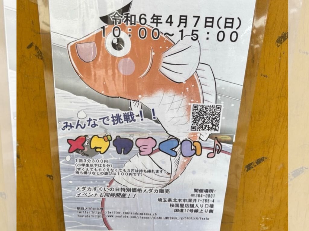 メダカすくい