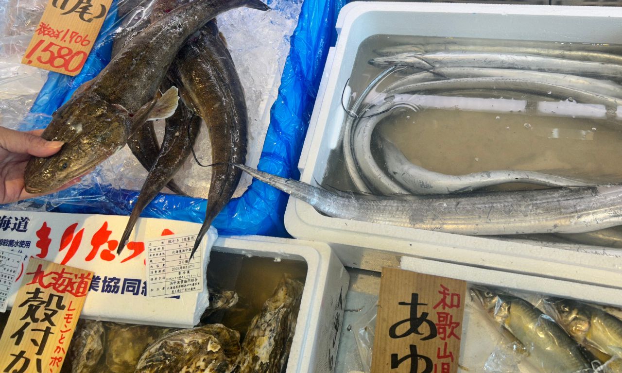 生魚