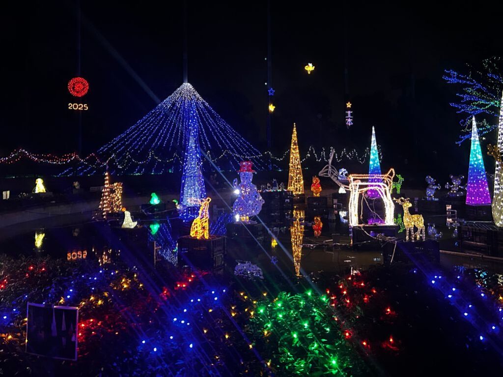 北本総合公園イルミ５
