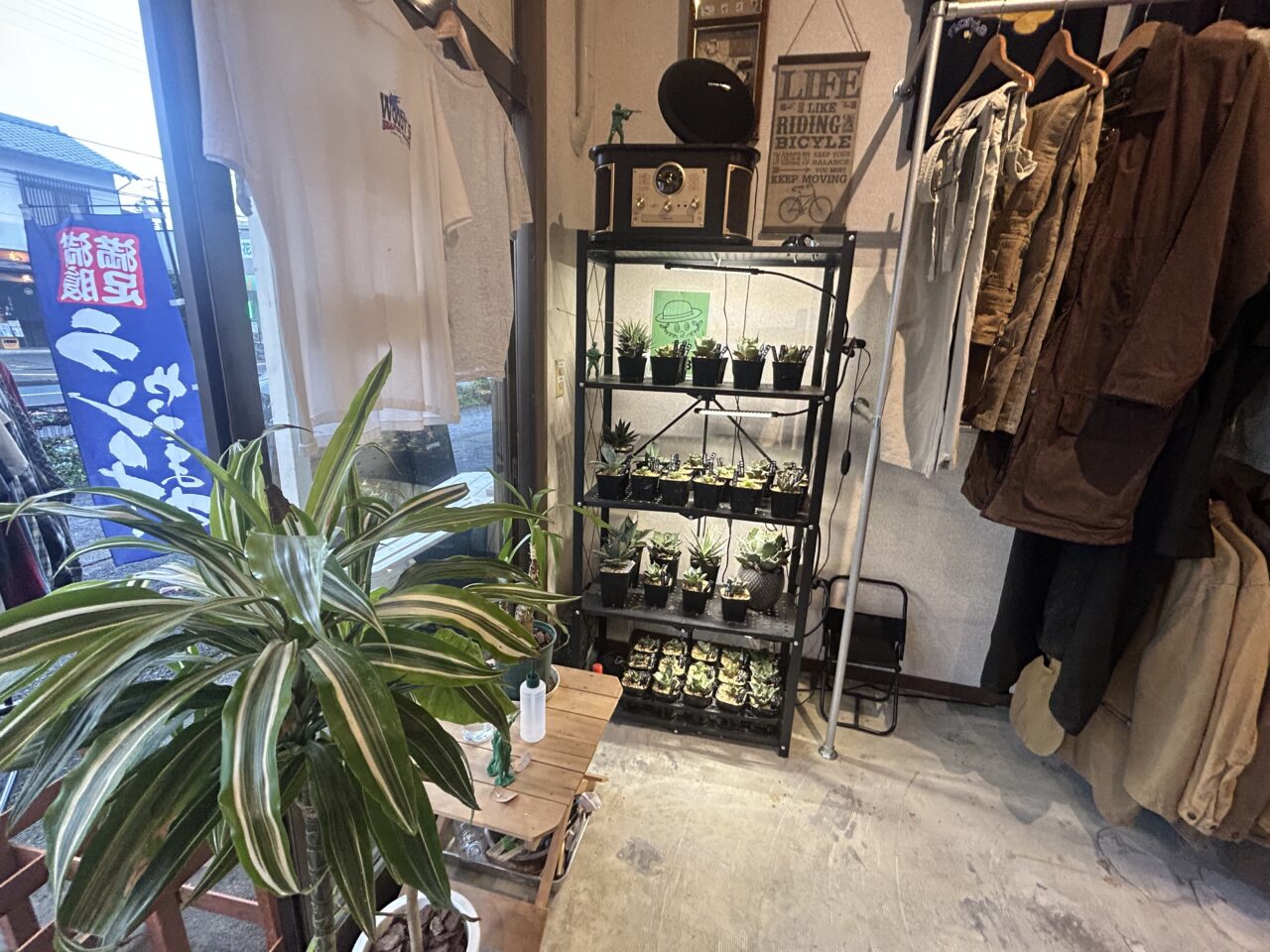 古着屋