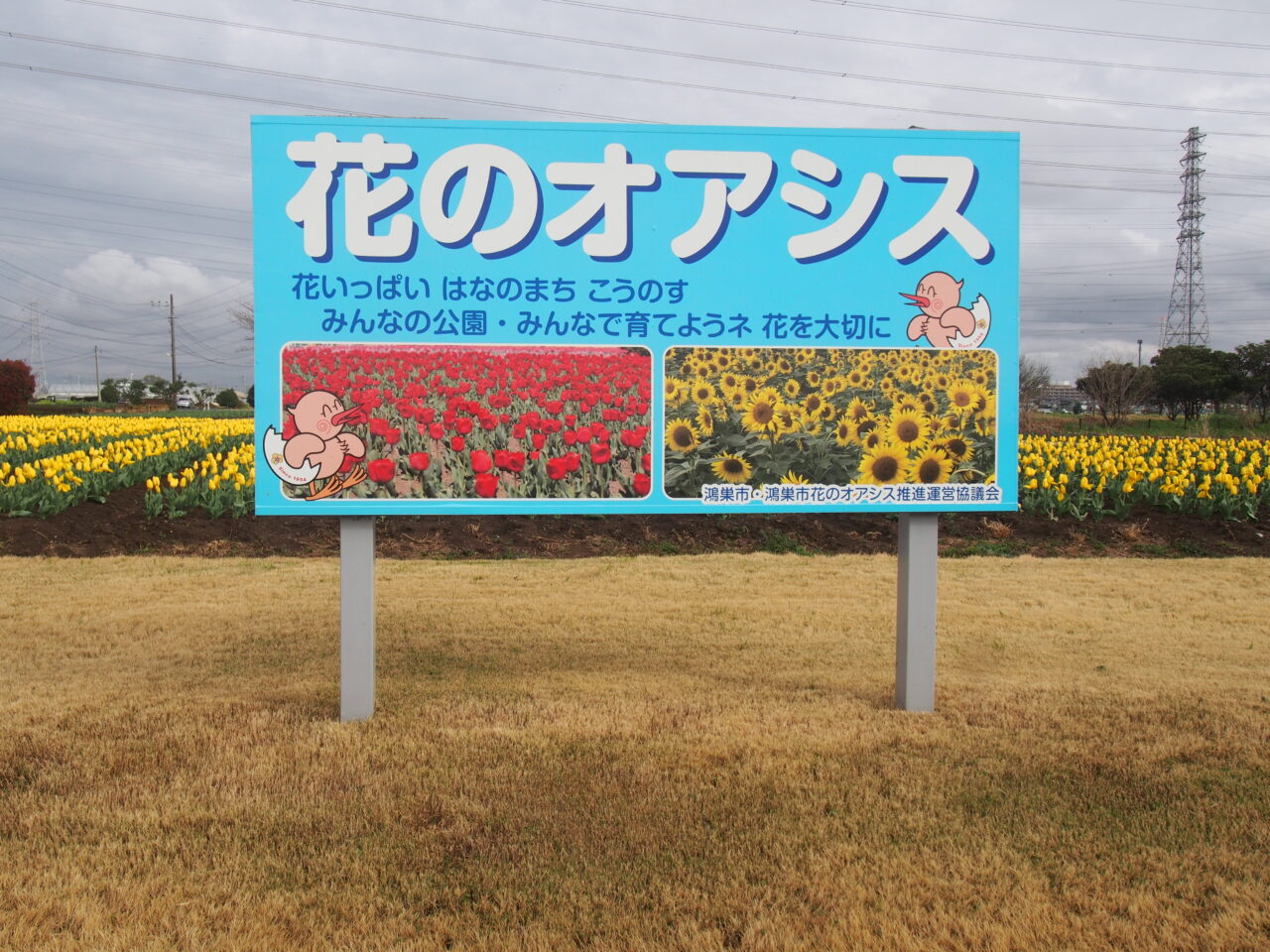 チューリップまつり