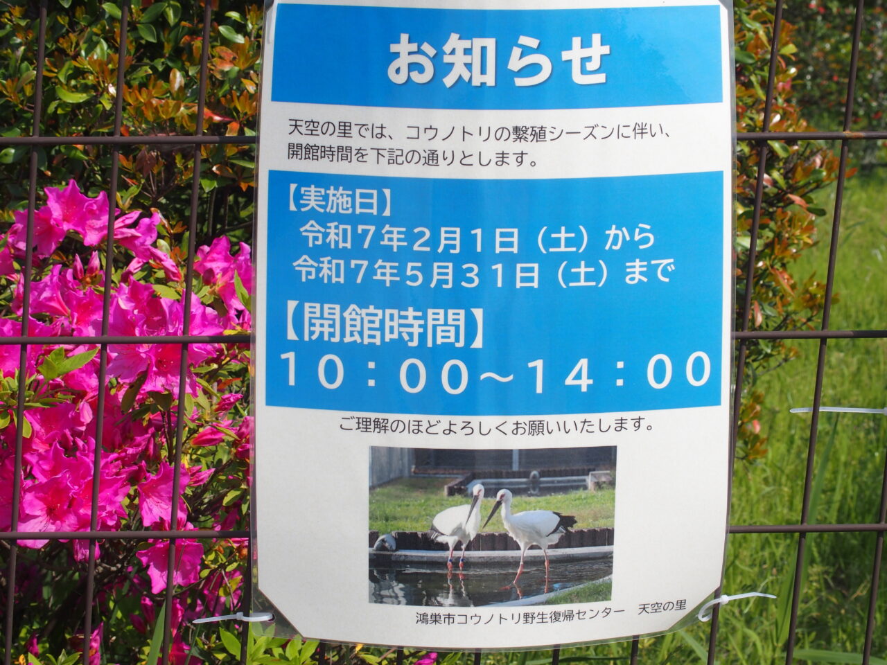 コウノトリ野生復帰センター「天空の里」