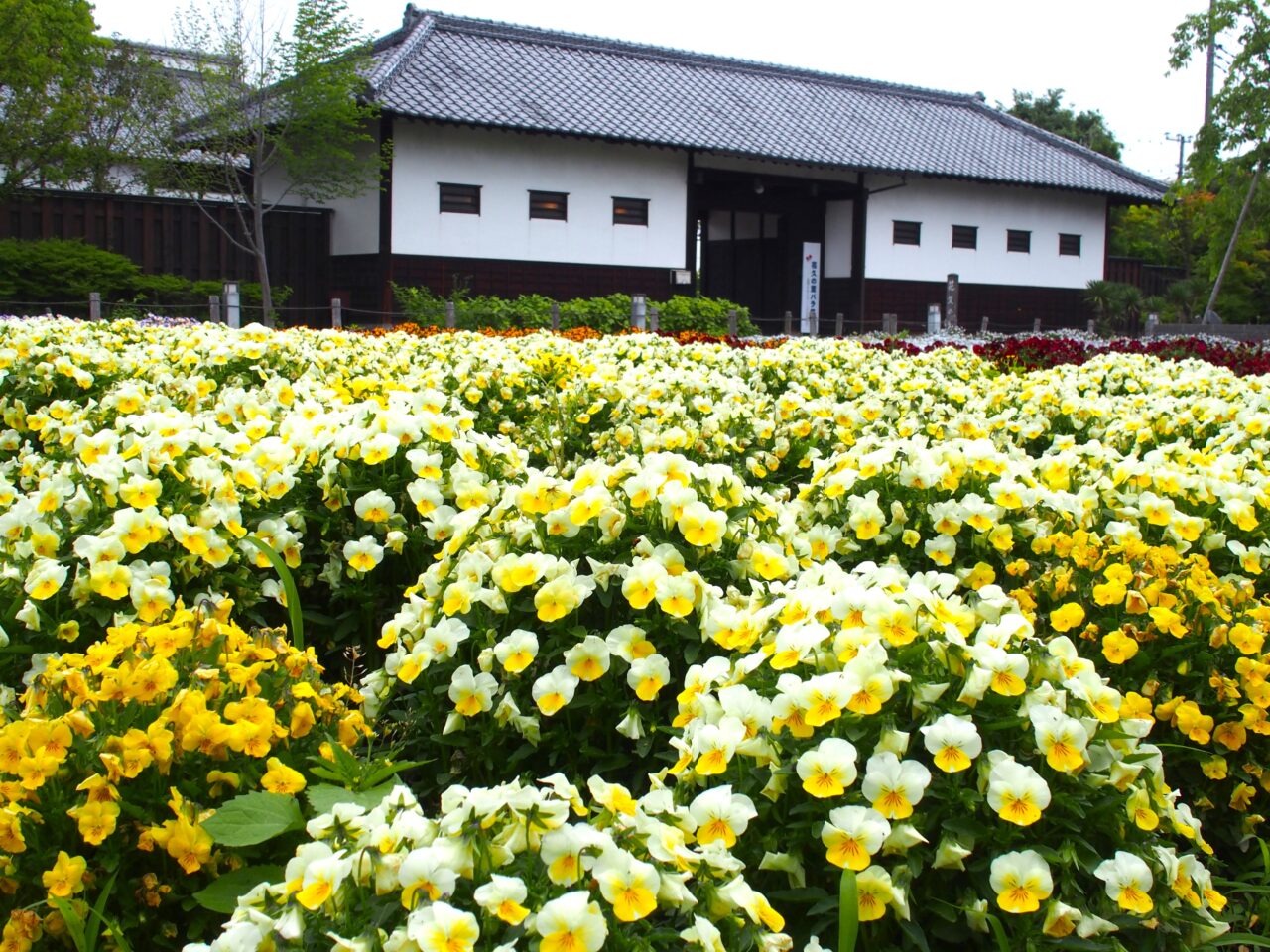 花久の里