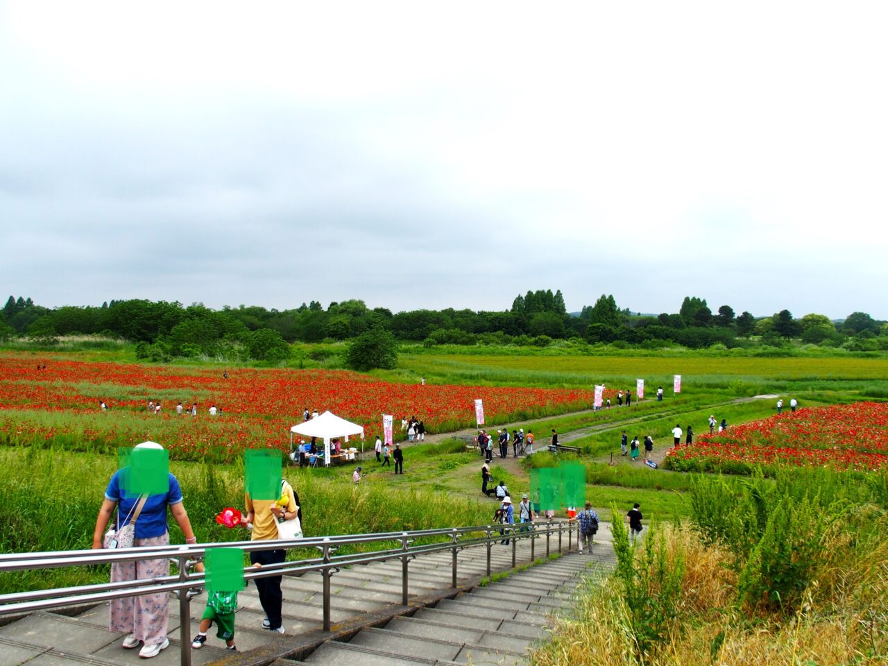 こうのす花まつり吹上会場