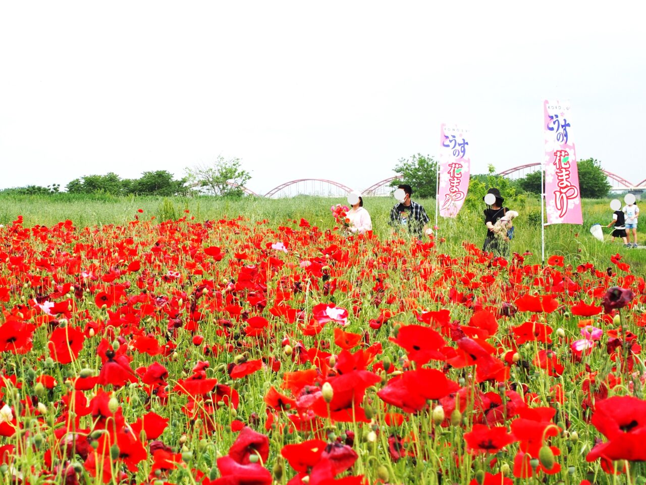 こうのす花まつり吹上会場