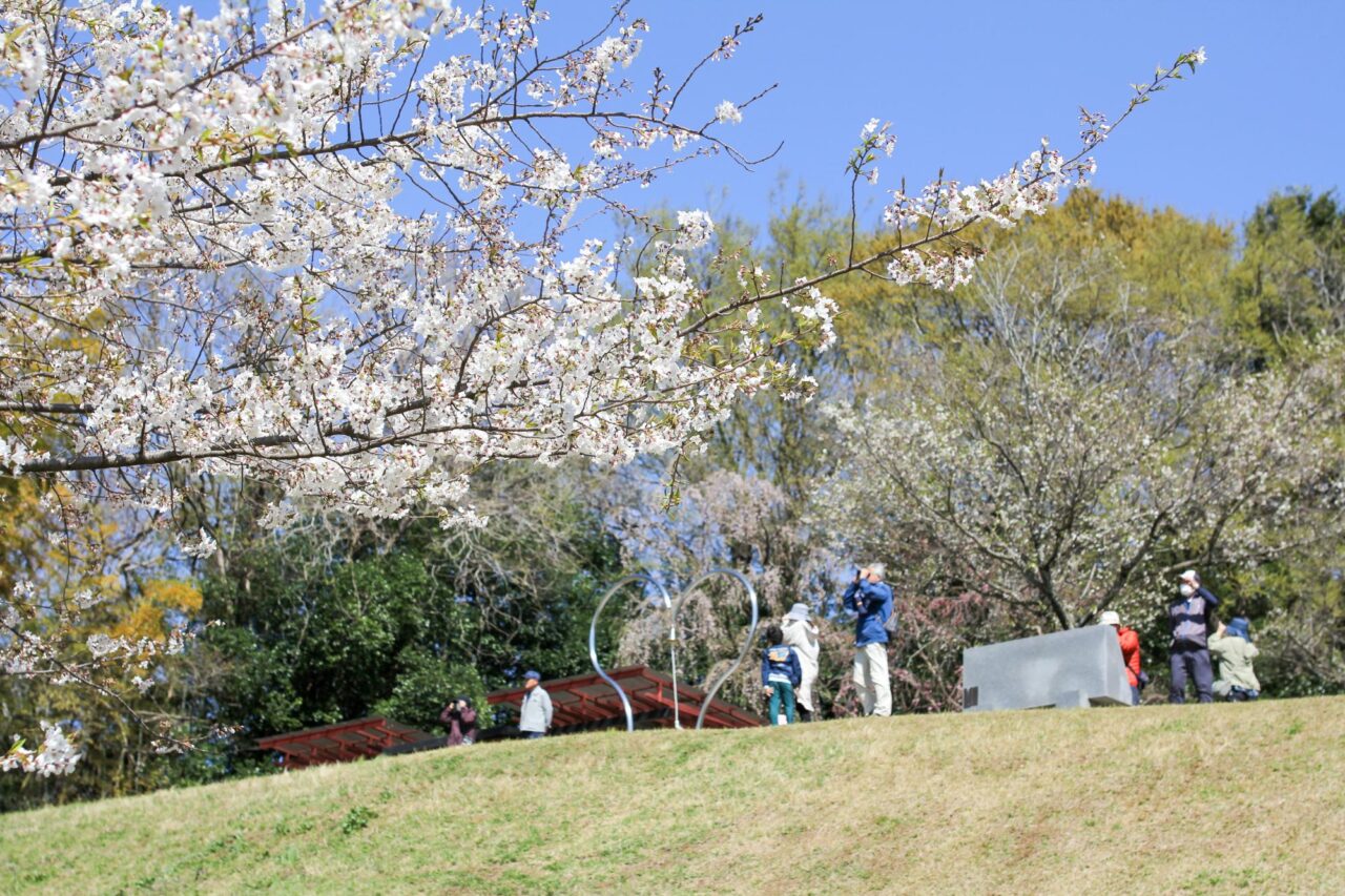 高尾さくら公園