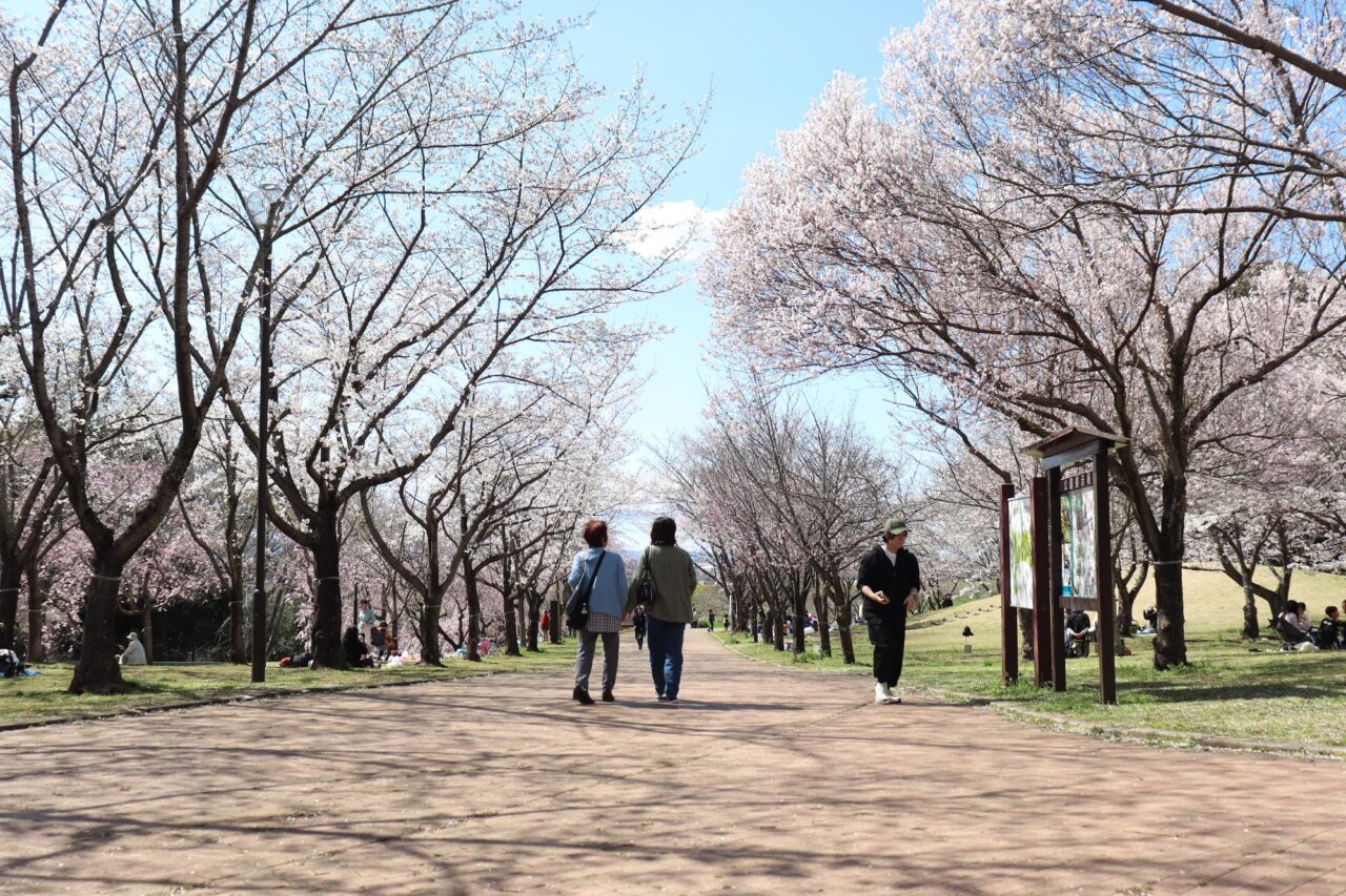 高尾さくら公園