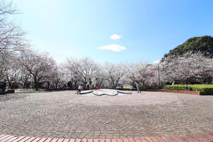 高尾さくら公園