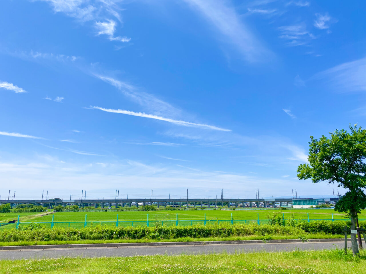 上谷総合公園