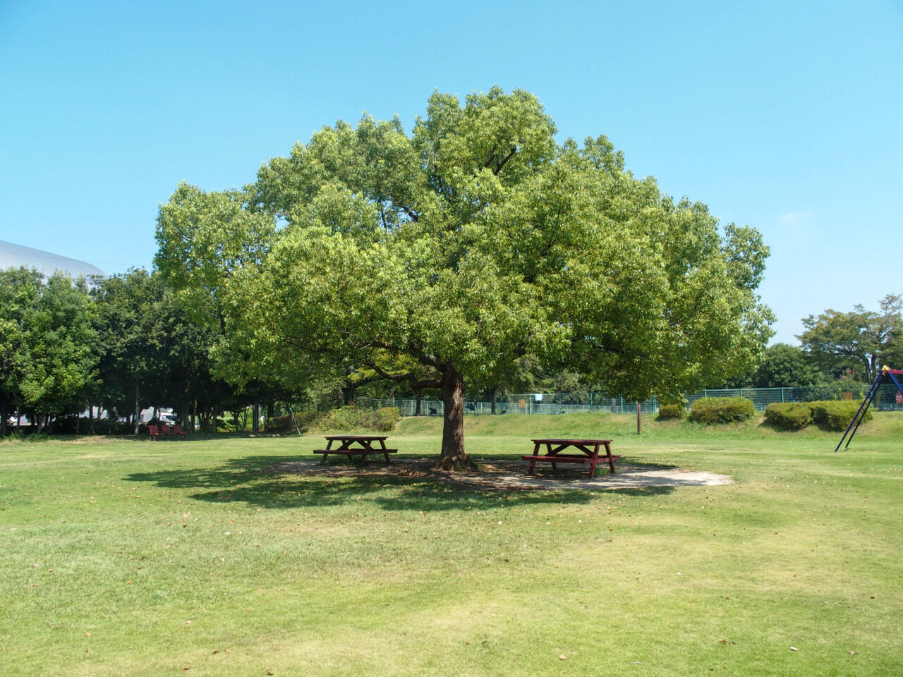 北本総合公園