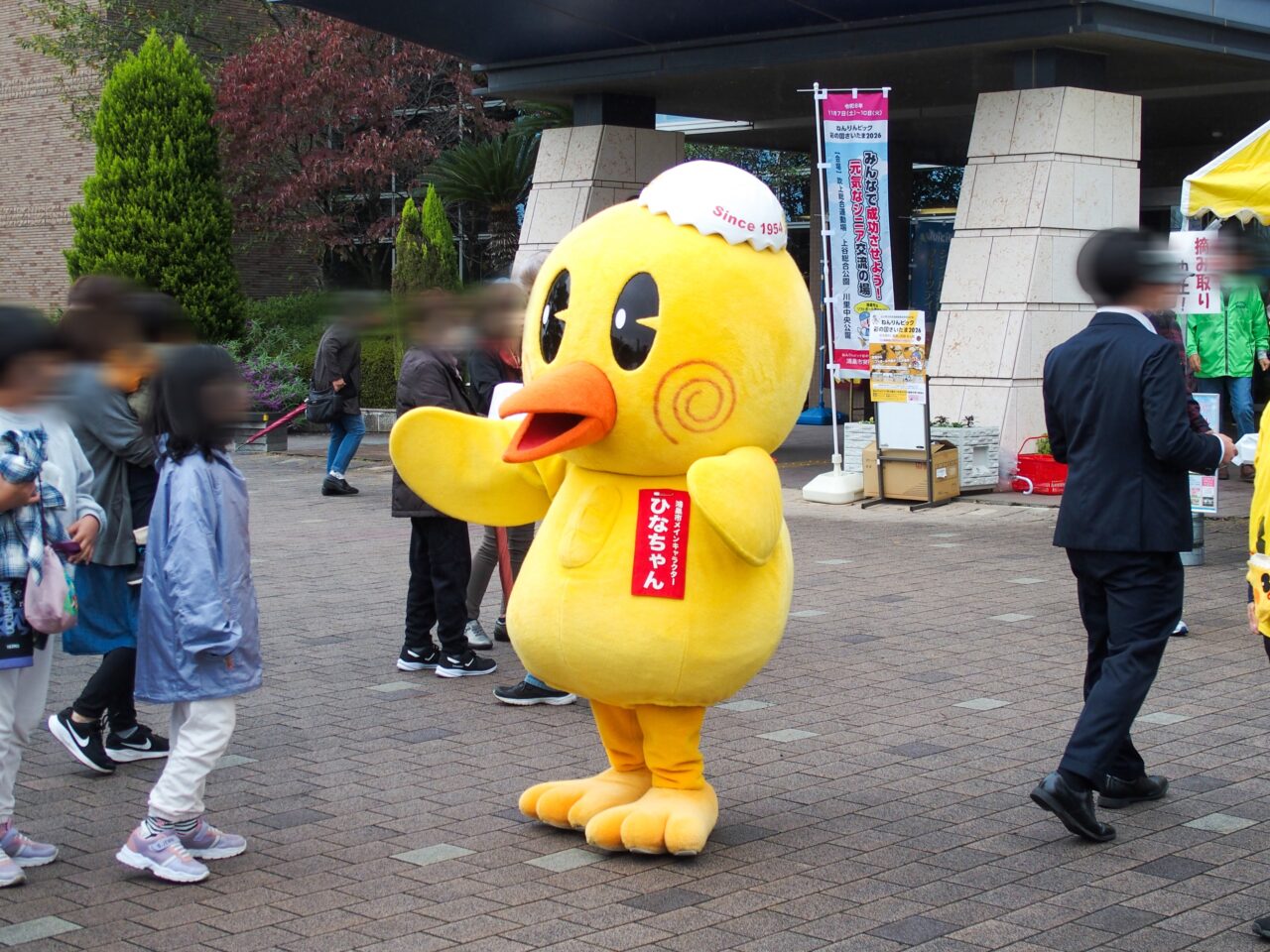 コスモスフェスティバル