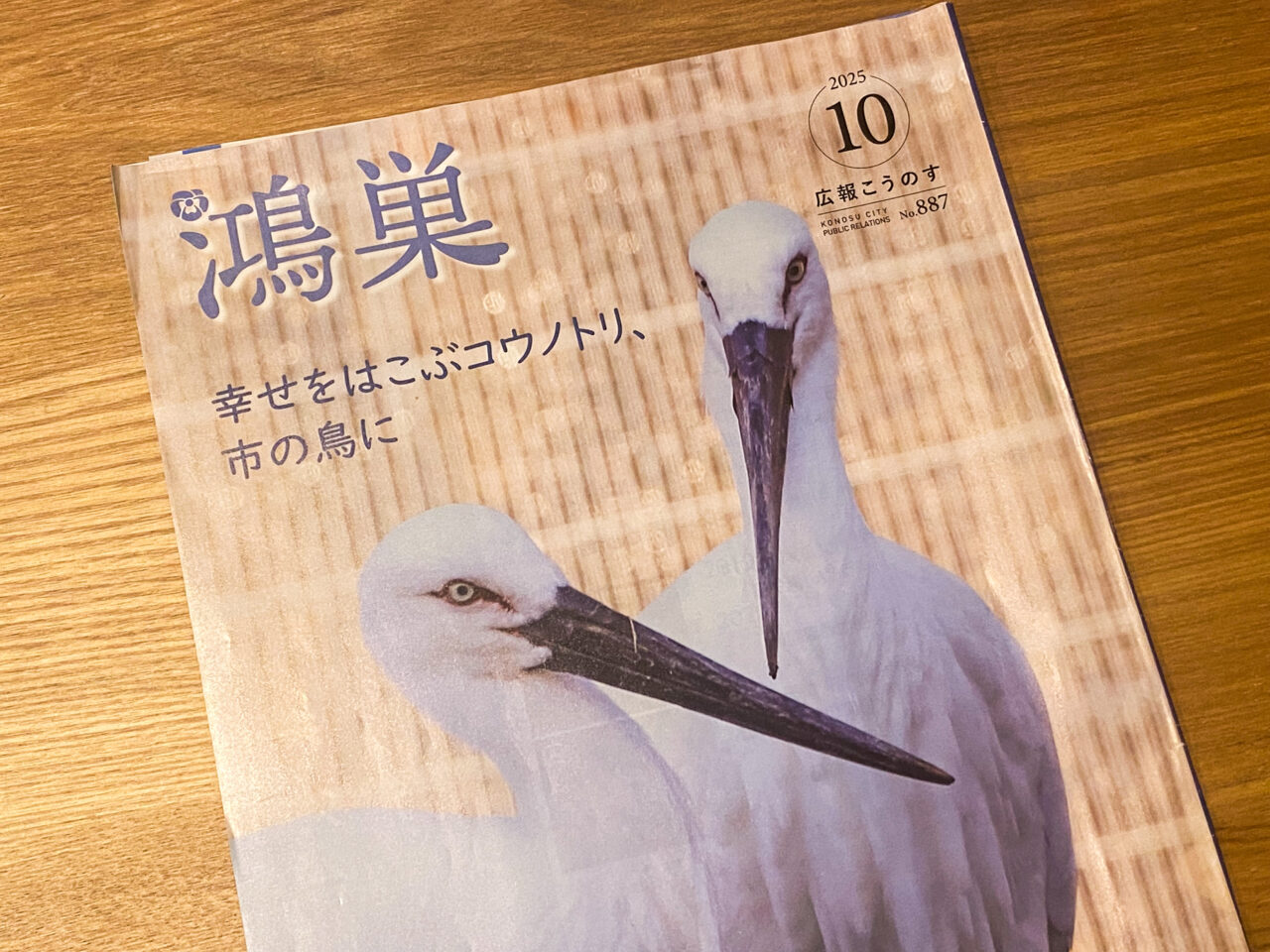 こうのす空・花クーポン2025第二弾