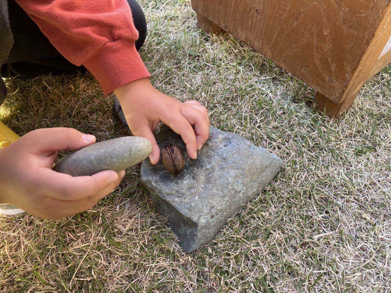 サンアメニティ北本キャンプフィールドで『北本カレーフェスティバル2025』と『きたもと縄文まつり2025』が同時開催