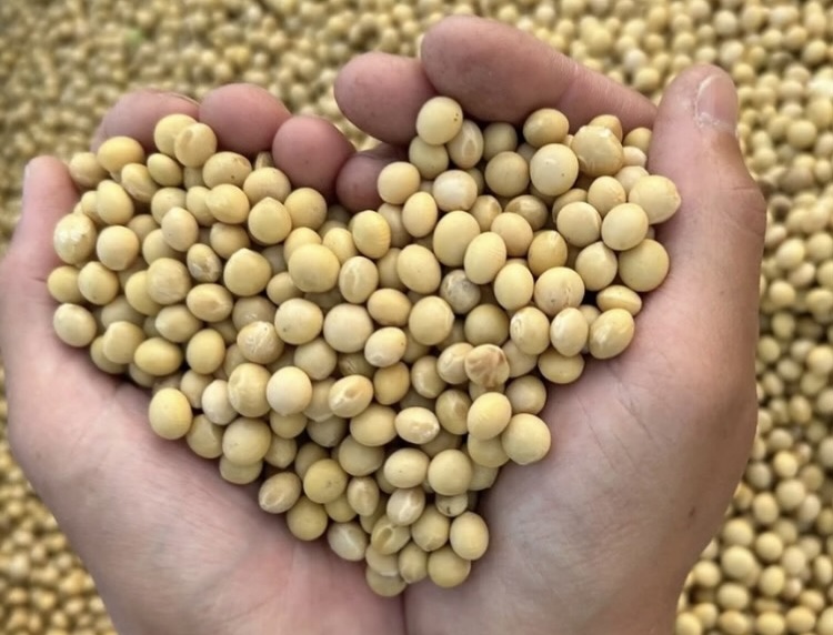 大豆のモンブランやさん