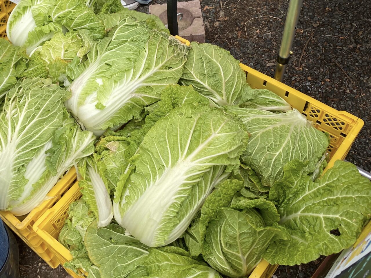 笠原のんびり市