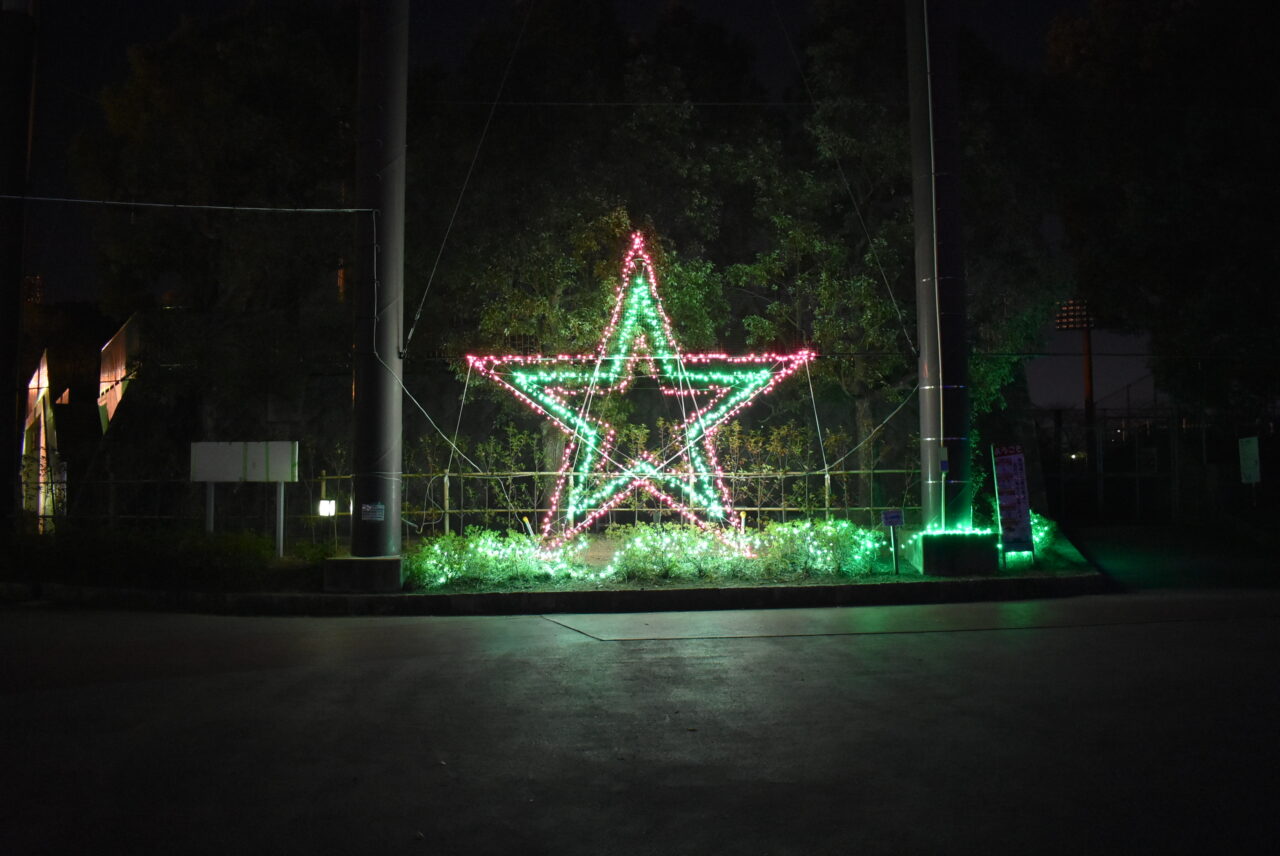 北本総合公園イルミネーション