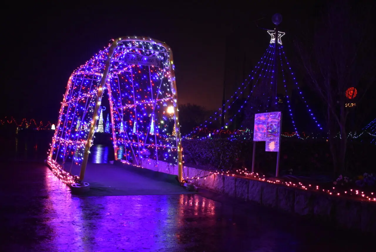 北本総合公園イルミネーション